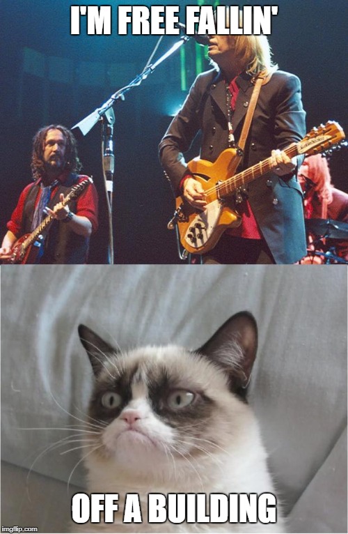 Free Fallin' Grumpy Cat | I'M FREE FALLIN'; OFF A BUILDING | image tagged in free fallin' grumpy cat | made w/ Imgflip meme maker