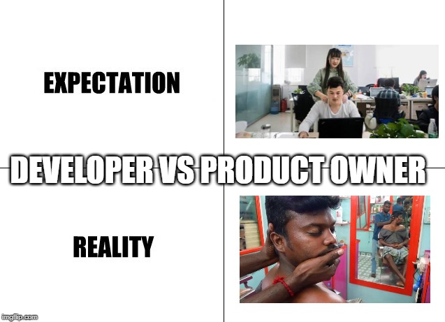 Expectation vs Reality | DEVELOPER VS PRODUCT OWNER | image tagged in expectation vs reality | made w/ Imgflip meme maker