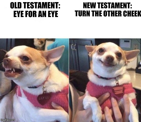 angry chihuahua happy chihuahua | NEW TESTAMENT: TURN THE OTHER CHEEK; OLD TESTAMENT: EYE FOR AN EYE | image tagged in angry chihuahua happy chihuahua | made w/ Imgflip meme maker