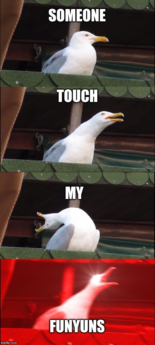 Inhaling Seagull | SOMEONE; TOUCH; MY; FUNYUNS | image tagged in memes,inhaling seagull | made w/ Imgflip meme maker
