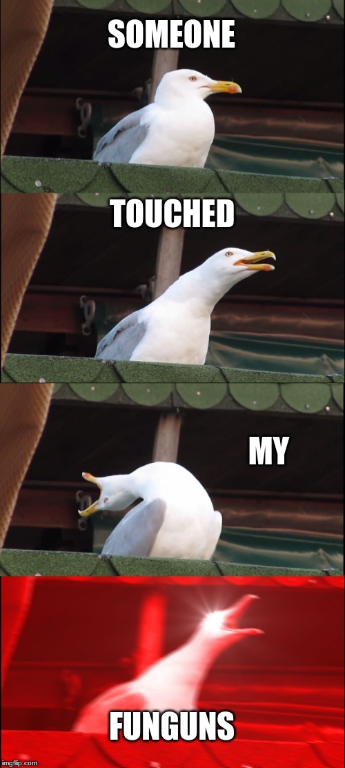 Inhaling Seagull | SOMEONE; TOUCHED; MY; FUNGUNS | image tagged in memes,inhaling seagull | made w/ Imgflip meme maker