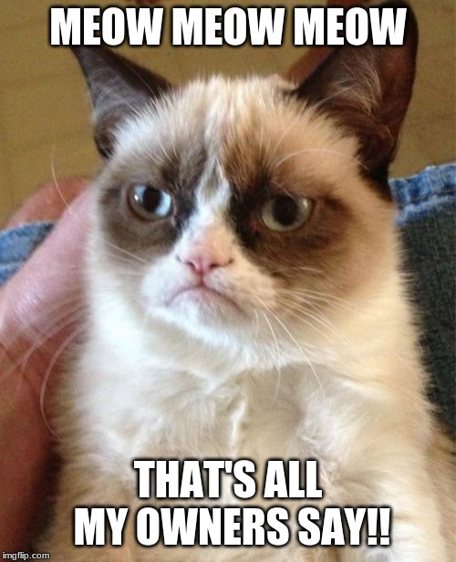 Grumpy Cat Meme | MEOW MEOW MEOW; THAT'S ALL MY OWNERS SAY!! | image tagged in memes,grumpy cat | made w/ Imgflip meme maker