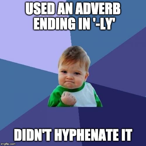 Success Kid | USED AN ADVERB ENDING IN '-LY'; DIDN'T HYPHENATE IT | image tagged in memes,success kid | made w/ Imgflip meme maker