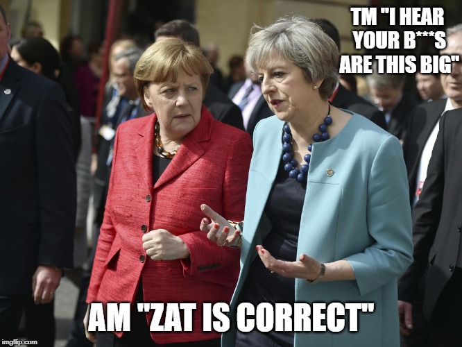 Theresa May and Merkel | TM "I HEAR YOUR B***S ARE THIS BIG"; AM "ZAT IS CORRECT" | image tagged in theresa may and merkel | made w/ Imgflip meme maker