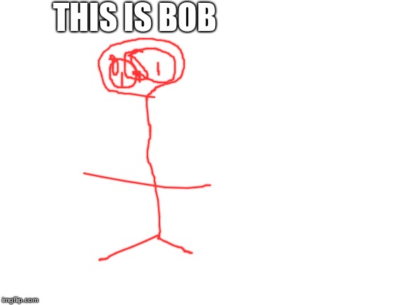 Blank White Template | THIS IS BOB | image tagged in blank white template | made w/ Imgflip meme maker