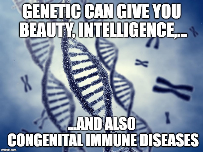 Shitpost is Genetic | GENETIC CAN GIVE YOU BEAUTY, INTELLIGENCE,... ...AND ALSO CONGENITAL IMMUNE DISEASES | image tagged in shitpost is genetic | made w/ Imgflip meme maker
