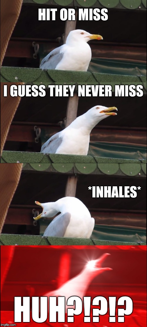 Inhaling Seagull Meme | HIT OR MISS; I GUESS THEY NEVER MISS; *INHALES*; HUH?!?!? | image tagged in memes,inhaling seagull | made w/ Imgflip meme maker