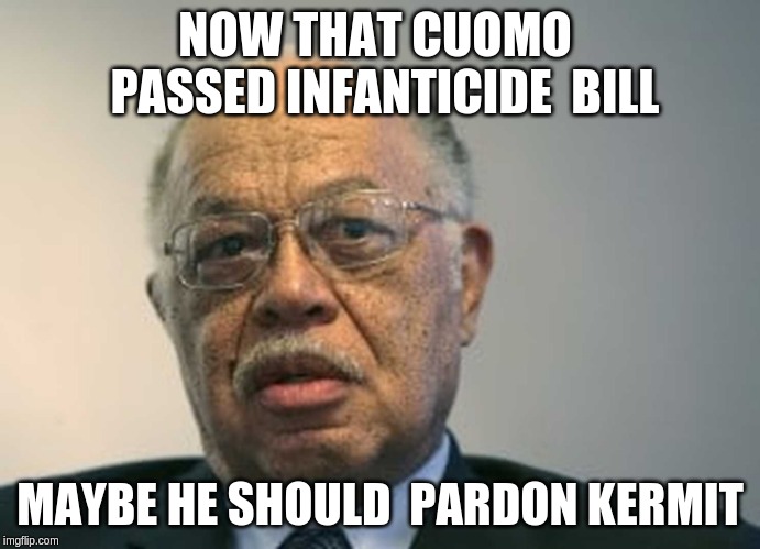 NOW THAT CUOMO  PASSED INFANTICIDE 
BILL; MAYBE HE SHOULD  PARDON KERMIT | image tagged in kermit gosnell | made w/ Imgflip meme maker