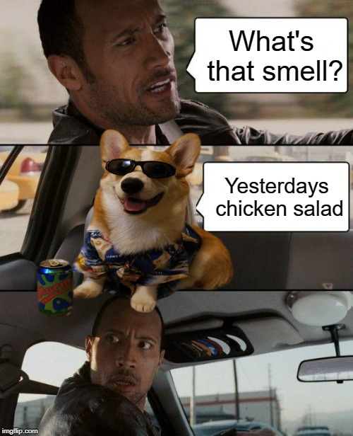 The Rock Driving | What's that smell? Yesterdays chicken salad | image tagged in memes,the rock driving | made w/ Imgflip meme maker
