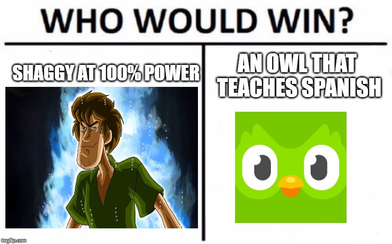 Who Would Win? Meme | AN OWL THAT TEACHES SPANISH; SHAGGY AT 100% POWER | image tagged in memes,who would win | made w/ Imgflip meme maker