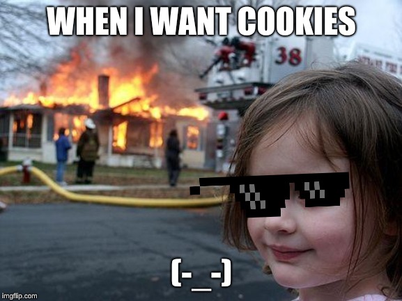Disaster Girl Meme | WHEN I WANT COOKIES; (-_-) | image tagged in memes,disaster girl | made w/ Imgflip meme maker