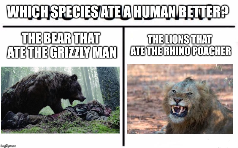 Lions, Bear, and Manwich | WHICH SPECIES ATE A HUMAN BETTER? THE BEAR THAT ATE THE GRIZZLY MAN; THE LIONS THAT ATE THE RHINO POACHER | image tagged in memes,who would win,lions,bear,human,animal | made w/ Imgflip meme maker