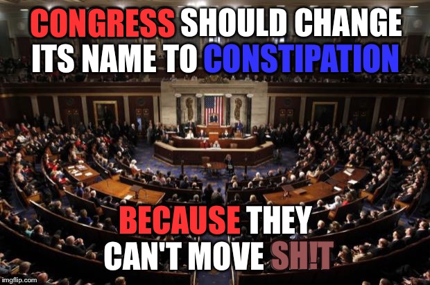 congress | CONGRESS; CONGRESS SHOULD CHANGE ITS NAME TO CONSTIPATION; CONSTIPATION; BECAUSE THEY CAN'T MOVE SH!T; BECAUSE; SH!T | image tagged in congress | made w/ Imgflip meme maker