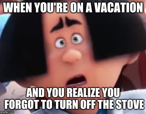 oops | WHEN YOU'RE ON A VACATION; AND YOU REALIZE YOU FORGOT TO TURN OFF THE STOVE | image tagged in memes,funny | made w/ Imgflip meme maker
