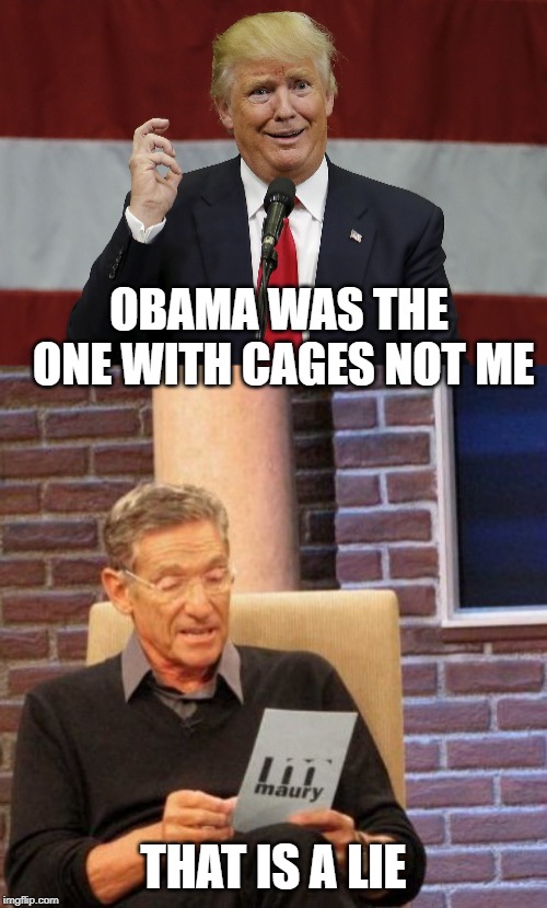 Liar in Thief | OBAMA WAS THE ONE WITH CAGES NOT ME; THAT IS A LIE | image tagged in memes,maury lie detector,politics,impeach trump,lies | made w/ Imgflip meme maker