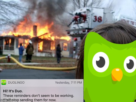Duolingo on Fire | image tagged in meme,language,fire girl,fire,owl | made w/ Imgflip meme maker
