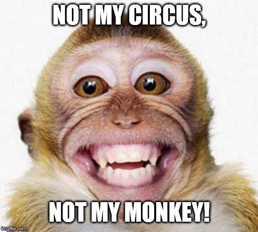 Monkey Smile | NOT MY CIRCUS, NOT MY MONKEY! | image tagged in monkey smile | made w/ Imgflip meme maker