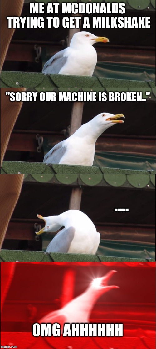 Inhaling Seagull | ME AT MCDONALDS TRYING TO GET A MILKSHAKE; "SORRY OUR MACHINE IS BROKEN.."; ..... OMG AHHHHHH | image tagged in memes,inhaling seagull | made w/ Imgflip meme maker