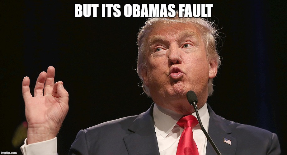 trumo | BUT ITS OBAMAS FAULT | image tagged in trumo | made w/ Imgflip meme maker