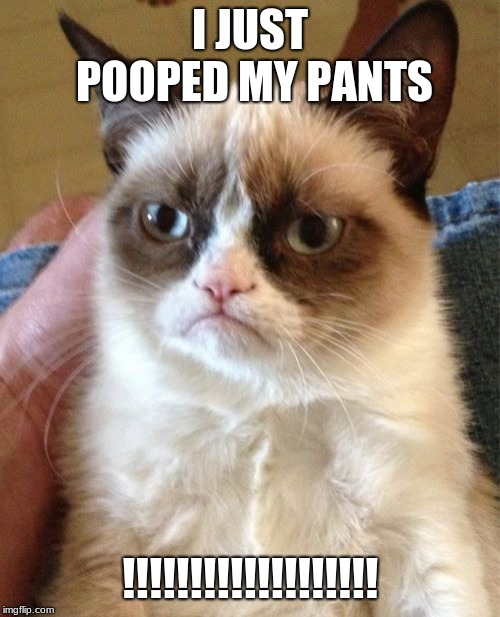 Grumpy Cat Meme |  I JUST POOPED MY PANTS; !!!!!!!!!!!!!!!!!!! | image tagged in memes,grumpy cat | made w/ Imgflip meme maker