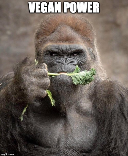Not all vegans are weak | VEGAN POWER | image tagged in gorilla,vegan,power,kale | made w/ Imgflip meme maker