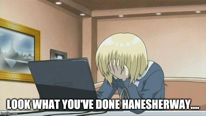 Anime face palm  | LOOK WHAT YOU'VE DONE HANESHERWAY.... | image tagged in anime face palm | made w/ Imgflip meme maker