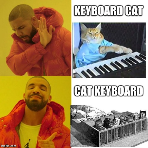 cat keyboard.yes that existlamoooooooooooooooooooooooooooooooooooooooooooooooooooooooooooooooooooooooooooooooooooooooooooooooo |  KEYBOARD CAT; CAT KEYBOARD | image tagged in drake blank,memes,cats,funny,dank memes,yeet | made w/ Imgflip meme maker