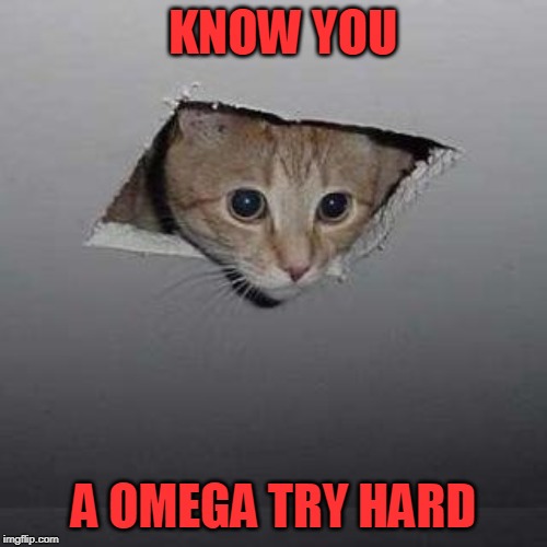 Ceiling Cat | KNOW YOU; A OMEGA TRY HARD | image tagged in memes,ceiling cat | made w/ Imgflip meme maker