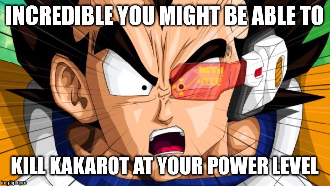 Vegeta | INCREDIBLE YOU MIGHT BE ABLE TO KILL KAKAROT AT YOUR POWER LEVEL | image tagged in vegeta | made w/ Imgflip meme maker