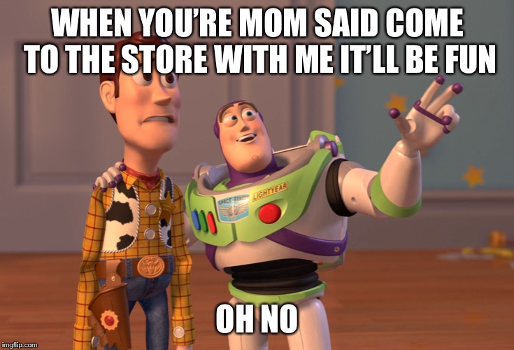 X, X Everywhere Meme | WHEN YOU’RE MOM SAID COME TO THE STORE WITH ME IT’LL BE FUN; OH NO | image tagged in memes,x x everywhere | made w/ Imgflip meme maker
