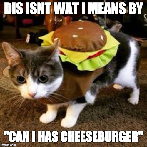 wrong kind of cheeseburger | DIS ISNT WAT I MEANS BY; "CAN I HAS CHEESEBURGER" | image tagged in wrong kind of cheeseburger | made w/ Imgflip meme maker