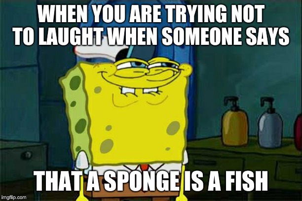 Don't You Squidward | WHEN YOU ARE TRYING NOT TO LAUGHT WHEN SOMEONE SAYS; THAT A SPONGE IS A FISH | image tagged in memes,dont you squidward | made w/ Imgflip meme maker