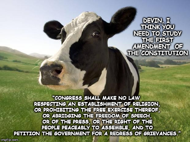 cow | DEVIN, I THINK YOU NEED TO STUDY THE FIRST AMENDMENT  OF THE CONSTITUTION; “CONGRESS SHALL MAKE NO LAW RESPECTING AN ESTABLISHMENT OF RELIGION, OR PROHIBITING THE FREE EXERCISE THEREOF, OR ABRIDGING THE FREEDOM OF SPEECH, OR OF THE PRESS, OR THE RIGHT OF THE PEOPLE PEACEABLY TO ASSEMBLE, AND TO PETITION THE GOVERNMENT FOR A REDRESS OF GRIEVANCES.” | image tagged in cow | made w/ Imgflip meme maker