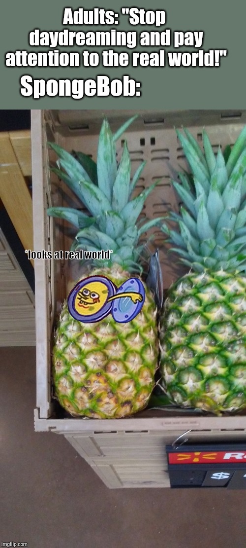 BREAKING NEWS: SpongeBob's pineapple sighted at local supermarket | Adults: "Stop daydreaming and pay attention to the real world!"; SpongeBob:; *looks at real world* | image tagged in spongebob,pineapple,real life,dumb meme,grocery store,why did i make this | made w/ Imgflip meme maker