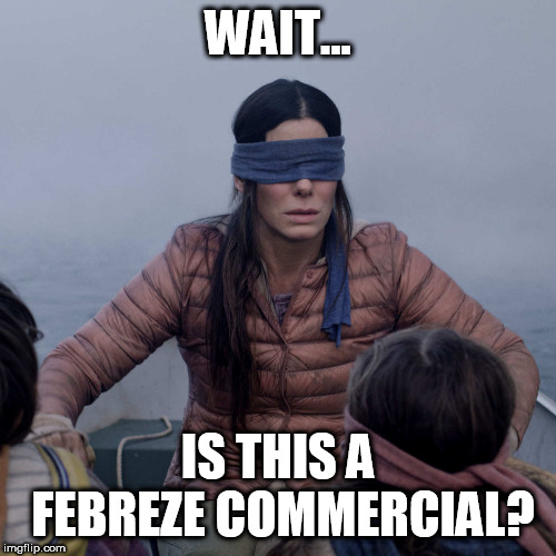 Bird Box Meme | WAIT... IS THIS A FEBREZE COMMERCIAL? | image tagged in memes,bird box | made w/ Imgflip meme maker