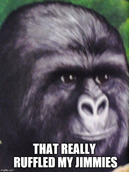 That really rustled my jimmies! | THAT REALLY RUFFLED MY JIMMIES | image tagged in that really rustled my jimmies | made w/ Imgflip meme maker