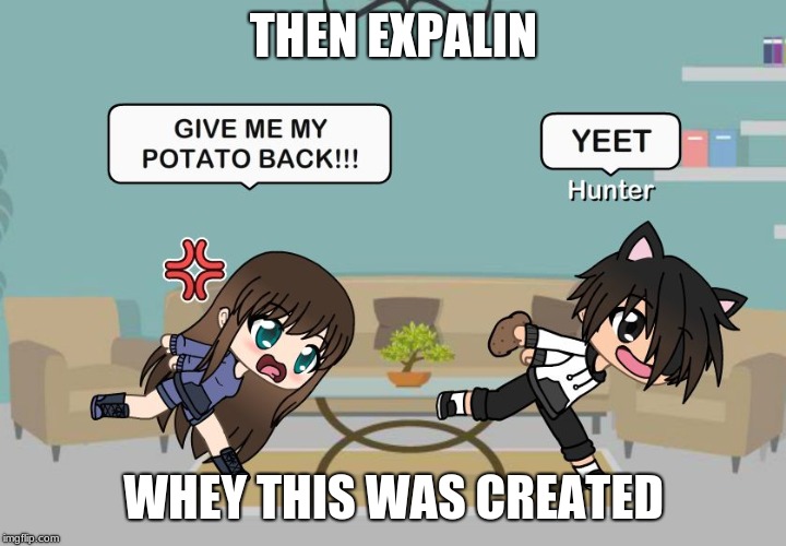 Gacha Meme | THEN EXPALIN WHEY THIS WAS CREATED | image tagged in gacha meme | made w/ Imgflip meme maker