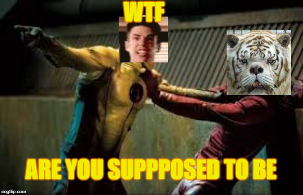 Look what you did | WTF; ARE YOU SUPPPOSED TO BE | image tagged in look what you did | made w/ Imgflip meme maker