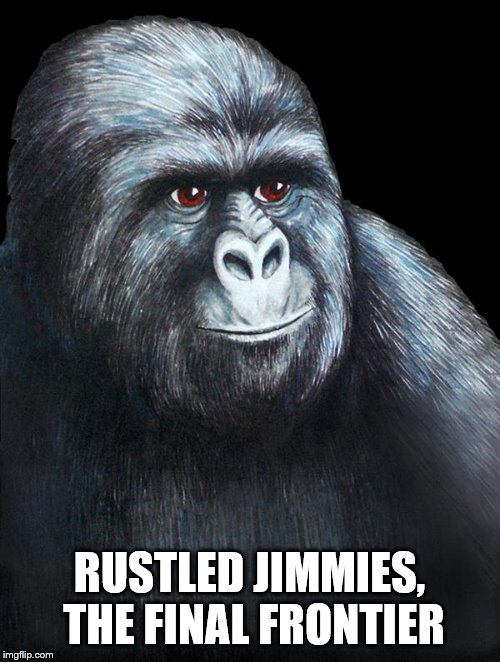 jimmies rustled | RUSTLED JIMMIES, THE FINAL FRONTIER | image tagged in jimmies rustled | made w/ Imgflip meme maker
