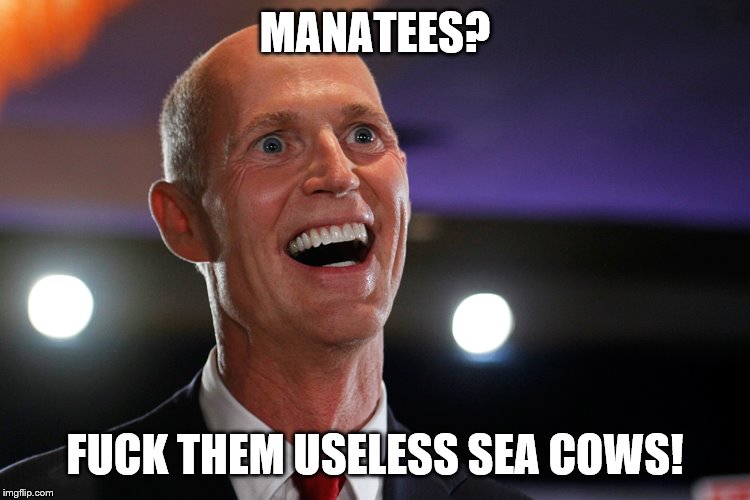 Rick Scott Nut Hair | MANATEES? F**K THEM USELESS SEA COWS! | image tagged in rick scott nut hair | made w/ Imgflip meme maker