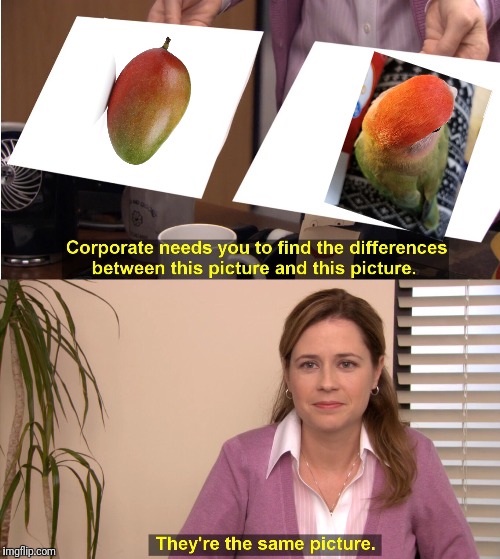 They're The Same Picture Meme | image tagged in pam theyre the same picture | made w/ Imgflip meme maker