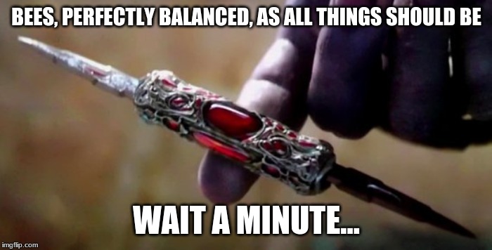 Thanos Perfectly Balanced | BEES, PERFECTLY BALANCED, AS ALL THINGS SHOULD BE; WAIT A MINUTE... | image tagged in thanos perfectly balanced | made w/ Imgflip meme maker