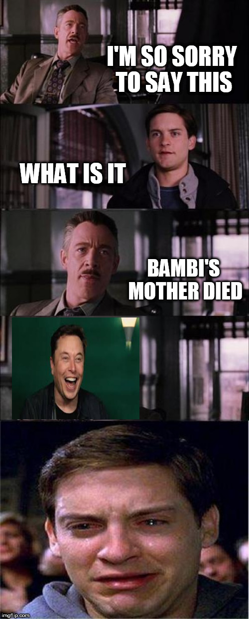Peter Parker Cry | I'M SO SORRY TO SAY THIS; WHAT IS IT; BAMBI'S MOTHER DIED | image tagged in memes,peter parker cry | made w/ Imgflip meme maker