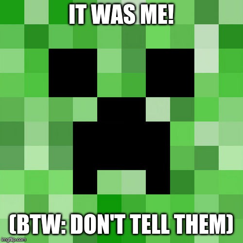 Scumbag Minecraft Meme | IT WAS ME! (BTW: DON'T TELL THEM) | image tagged in memes,scumbag minecraft | made w/ Imgflip meme maker