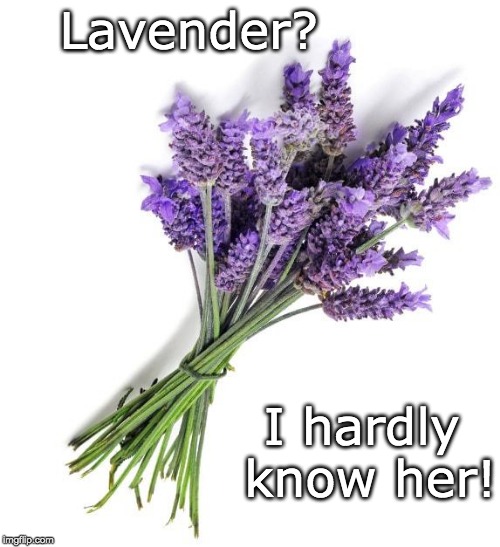 We just met | Lavender? I hardly know her! | image tagged in pun,dad joke | made w/ Imgflip meme maker