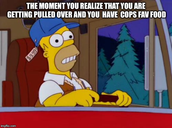 Homer Simpson Trucker | THE MOMENT YOU REALIZE THAT YOU ARE GETTING PULLED OVER AND YOU  HAVE  COPS FAV FOOD | image tagged in homer simpson trucker | made w/ Imgflip meme maker