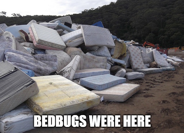 BEDBUGS WERE HERE | image tagged in mattress trash | made w/ Imgflip meme maker