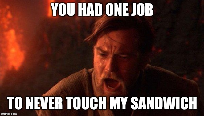 You Were The Chosen One (Star Wars) | YOU HAD ONE JOB; TO NEVER TOUCH MY SANDWICH | image tagged in memes,you were the chosen one star wars | made w/ Imgflip meme maker