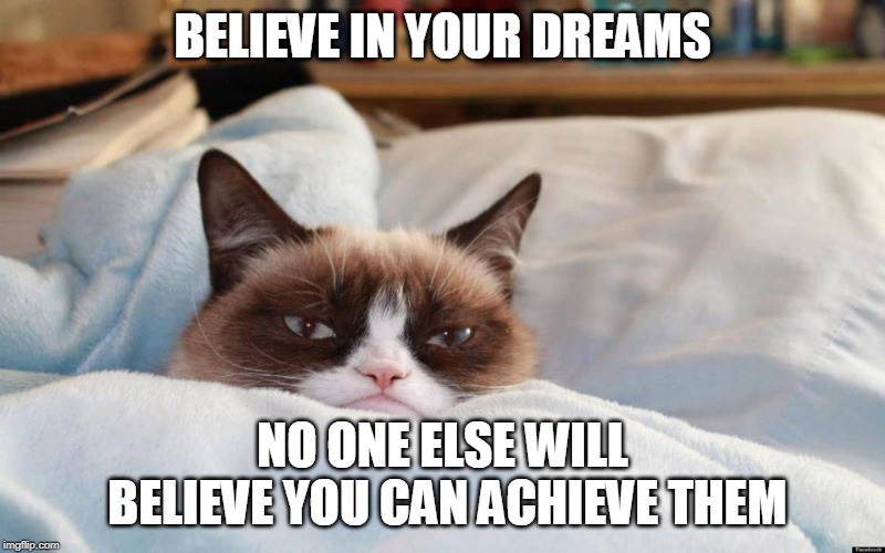 Grumpy Cat | BELIEVE IN YOUR DREAMS; NO ONE ELSE WILL BELIEVE YOU CAN ACHIEVE THEM | image tagged in grumpy cat bed,memes,grumpy cat,sayings,demotivationals,dreams | made w/ Imgflip meme maker