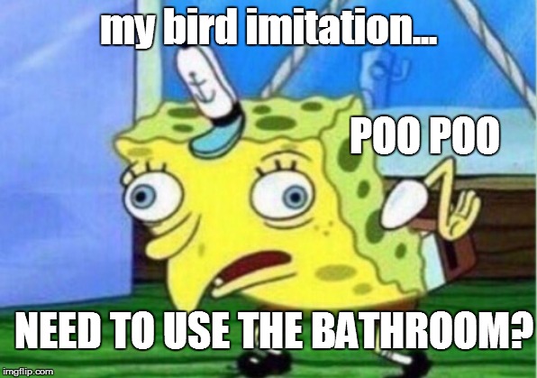 Bathroom Misconception | my bird imitation... POO POO; NEED TO USE THE BATHROOM? | image tagged in memes,mocking spongebob,bathroom,poop | made w/ Imgflip meme maker
